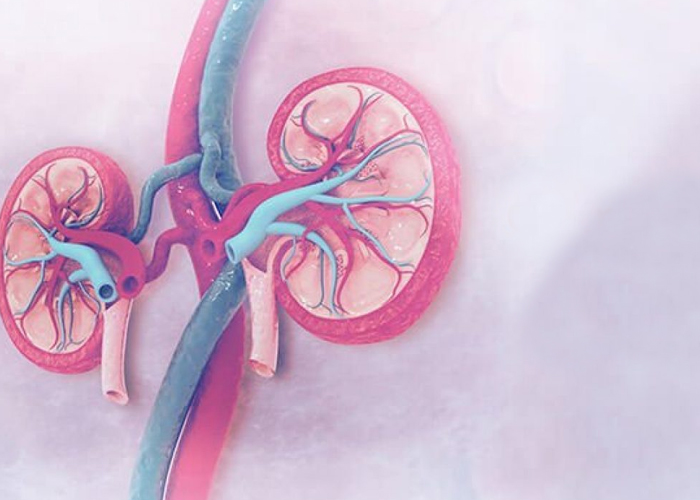 Glomerulonephritis